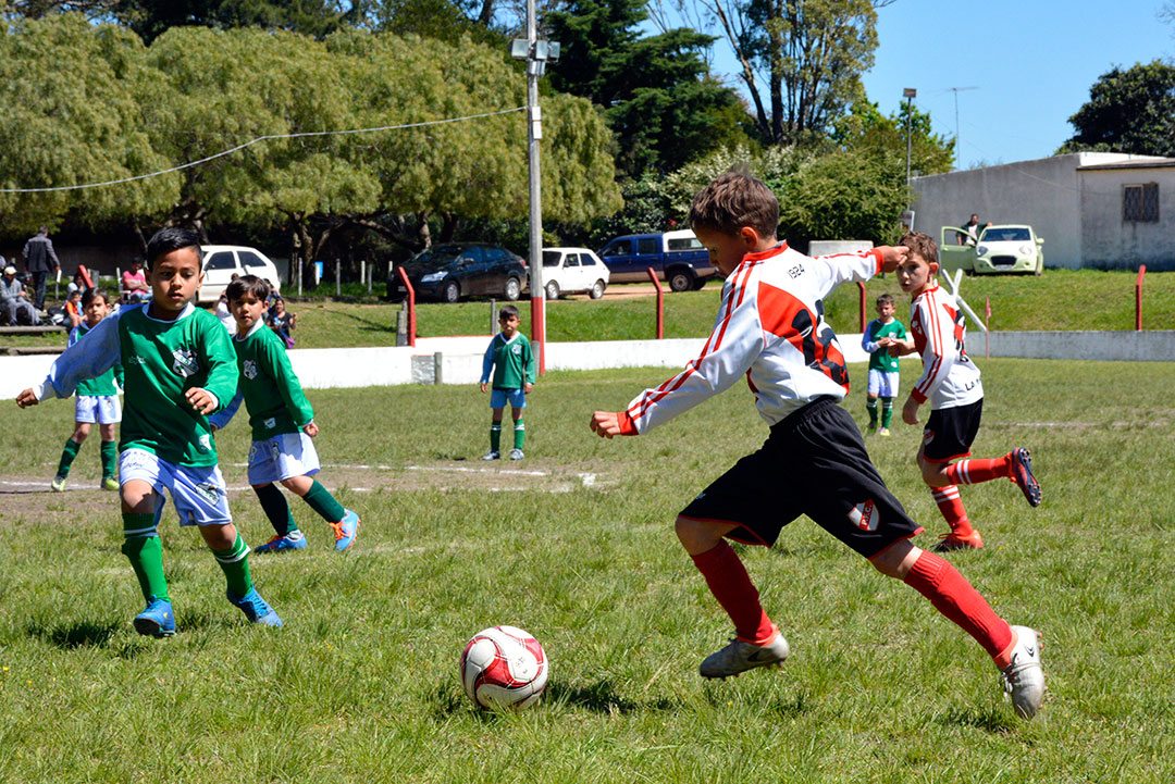 Finalizó el Campeonato Especial de Baby Fútbol - Piriápolis Fútbol Club